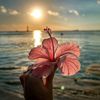 aisha.mohammad64