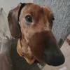 tiziana.bacci0