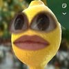 lemonknowss