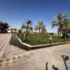 hadyali213