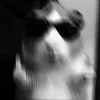 3l_677