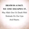 hafsat.adamu006