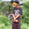 sowlwin3