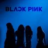 blink_oficial40