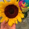 catrachita8820