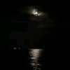 ferzz_740