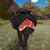sl_bear0618