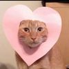 bunnyle16