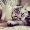 _ys.xingg__
