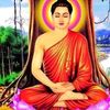 roman.lama33