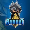 bharat.kumar4050