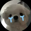 dmihducj