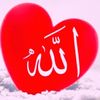 masud.5548