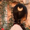 nepali.kanxi30