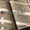 taghredfayed4