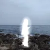 pipetkaa_7856