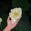 Xoá mù công nghệ