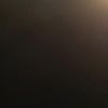 lupinvstamp