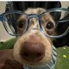 Fioaja😎🤓