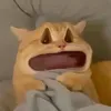 nhamanx06