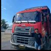 gul964147
