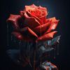 hayel.alahmedi2