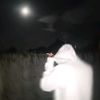 lylel58