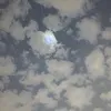 607_lx_