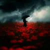 nour.houda3145