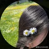 this_is_549