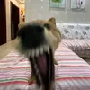 goidaddycho5trieu