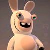 rabbit.sumedang