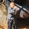 asharev.al