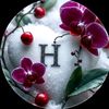 user5862591377618