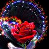 user570751431