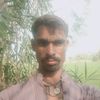 ali.haider7937