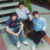 sturniolo_triplet_2003