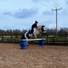 gracedonnisonxx