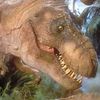 tyrannosaurus.doe