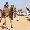 fahd.el.qhtani