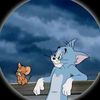 Tom and Jerry 🫂💕❤️