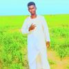 user576800552545