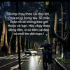 tham_pas08
