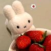 user220410128