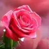 user900882437