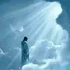 user4430101650670