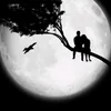user1072542066062
