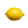 leem0n1401926lll