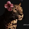 al_ruqqa0