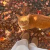 trip_girl3